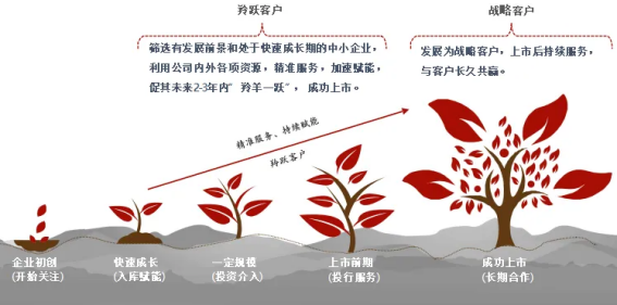 开云手机站官方端网站登录入口加入招商证券“羚跃计划”，携手探索产业协同新机遇